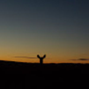 Meet your Posher, Mandy